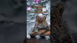 Принимай послание Вселенной для тебя. Для энергообмена поставь ❤️ и подпишись ✅