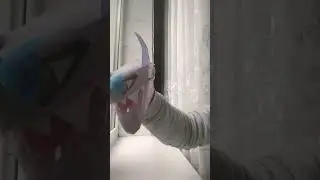 навий драко!