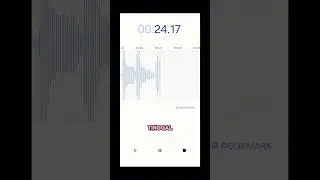 Orang-Orang Norak yang Kalau Ngutang ....