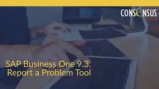 SAP Business One 9.3: Report a problem tool