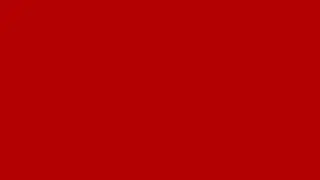 Red Background Screen | Solid Red Backdrop | 4K Minimalist Color Background