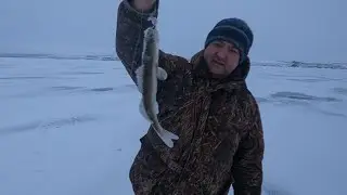 Проверка Жерлиц на Водохранилище