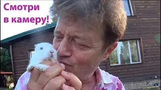 Главный герой