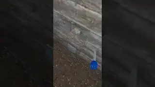 #granny