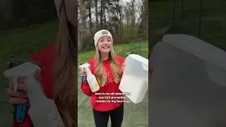 all-natural flea & tick prevention routine for my 4 dogs 🐶🌿🤍
