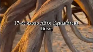 20 мая 2024 г.