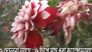 Resort Banalata II Joypur Forest Bankura II Hotel Banalata