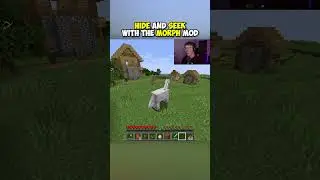 We played Hide and Seek with the Morph Mod Minecraft Mod