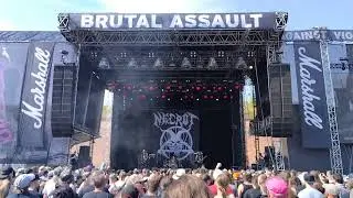 Necrot - Lifeless Birth