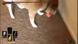 Bork Souls