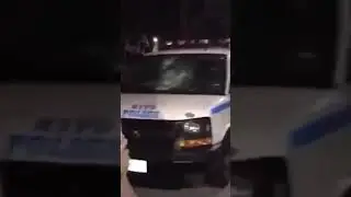 США беспорядки