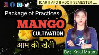 Mango Cultivation || आम की खेती || Horticulture