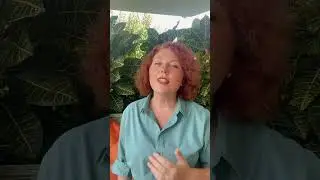 Счастье – это выбор. Как научиться жить в любви, легкости и радости🌱