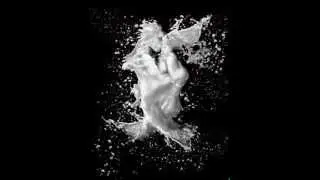 Amor -  Achillea