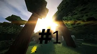 Minecraft #1