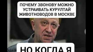 Итоги сходки и Фрейд с биг фармой -Стрим Звонова (02.10.2023)