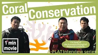 【Adaptation measures】Changes in the coral ecosystem in kochi