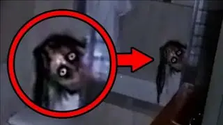 এমন ভুতুড়ে ঘটনা দেখলে ভয়ে কলিজা কেঁপে উঠবে । real ghost video | bhuter horror video | mayajaal aahat