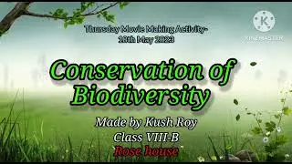 Conservation of Biodiversity (School Project)