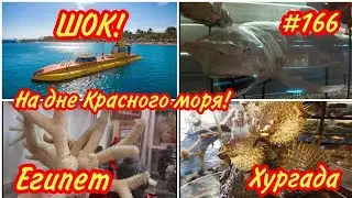 ЕГИПЕТ🇪🇬 Хургада Экскурсия Подводная лодка🌊 Синдбад Подводные скалы, Коралловые рифы 