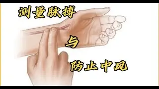 测量脉搏与防止中风 Measuring Pulse and Preventing Stroke 医疗保健百宝箱Healthcare Treasure Box(1)