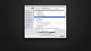 Importing Text Files