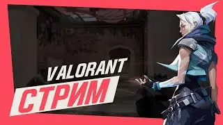играем в VALORANT