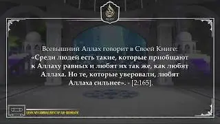 Любовь к Аллаху | Шейх Мухаммад Мухтар аш-Шанкыти [4K]