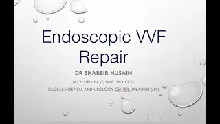 Endoscopic VVF Repair