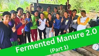 How To Make Fermented Chicken Manure 2.0 | The Agrillenial