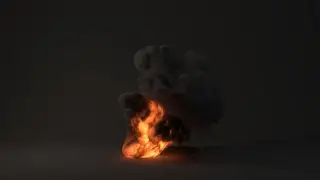 Tire Burning
