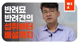 사람과 다른 점은 무엇일까요?  [위아 18화]