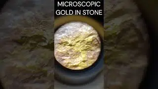 MICROSCOPIC GOLD IN ROCKS | GOLD ORE #shorts