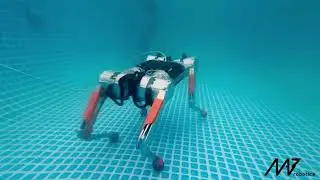 Underwater Walking of the Honey Badger Legged Robot | MAB Robotics