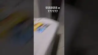 19 марта 2024 г.