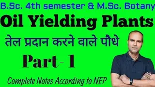 Oil yielding plants [तेल प्रदान करने वाले पौधे ]  #bsc4thsemester #economicbotany