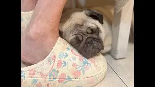Ох уж, этот Веня! Фильм 2