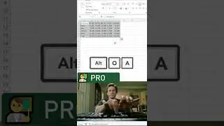 🎨 Style data instantly in Excel with Alt O A 