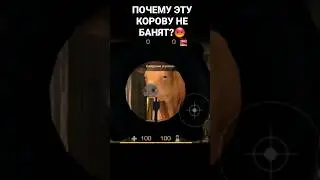 КОРОВА ЧИТЕР!!! 