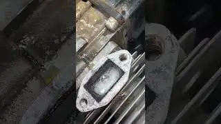 Триммер бензиновый 😲