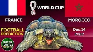 France vs Morocco | Semi-Finals | World Cup 2022 | 🐢Turtle Football Predictions