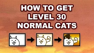 The Battle Cats - How to Get Level 30 Normal Cats