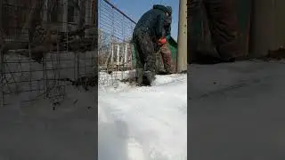 бурение Лунок по мерзлому грунту 150 и 1300 глубина