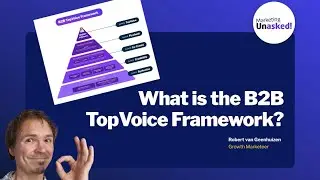 What is the B2B TopVoice Framework?