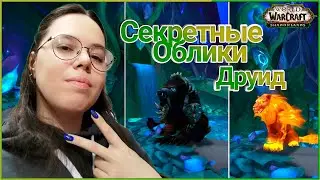 Все Секретные Облики на Друида и Получение Огненной Кошки // World of Warcraft Shadowlands