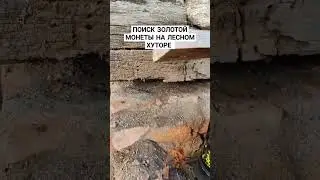 ПОИСК ЗОЛОТОЙ МОНЕТЫ НА ЛЕСНОМ ХУТОРЕ 