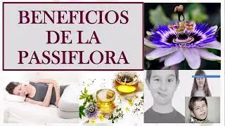 BENEFICIOS DE LA PASIFLORA..
