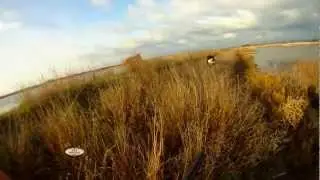 T&T Calls - Duck Hunting in Burgas, Bulgaria