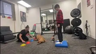 Cognitive Color Taps