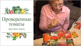 Проверенные вкусные сорта томатов для северо-запада России.